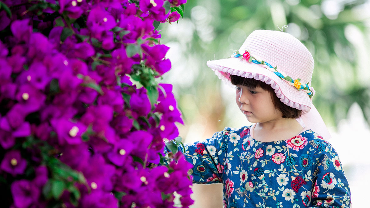 洱海边悠夏